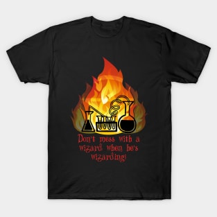 Don't mess with a wizard ... T-Shirt